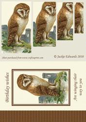 Wise Old Owl Card Front