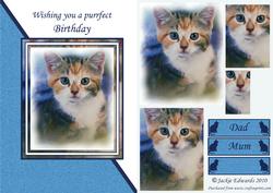 Cute Kitten Card Front