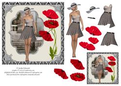 Poppies and Gingham