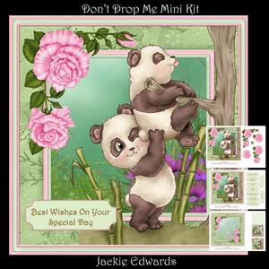 Don't Drop Me Mini Kit