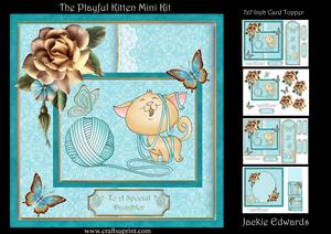 The Playful Kitten Mini Kit