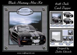 Black Mustang Mini Kit