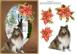 Collie & Poinsettia Christmas Card