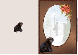 Labrador Pup & Poinsettia Christmas Card Insert