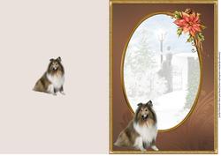 Collie & Poinsettia Christmas Card Insert