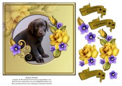 Chocolate Labrador & Yellow Roses