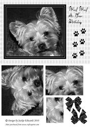 One for the Dog Lovers