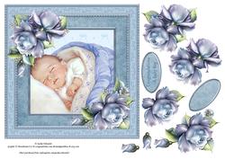 New Born Baby Boy