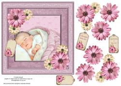 New Born Baby Girl