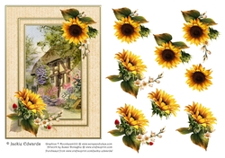 Thatched Country Cottage & Sunflowers