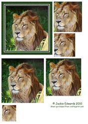 Portrait of a Lion Topper