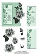 Roses Over the Edge 2
