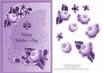 Beautiful Flowers for Mothers Day Mauve