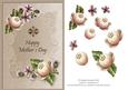 Beautiful Flowers for Mothers Day Beige