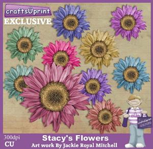 Stacey's Flowers