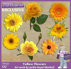 Yellow Flowers