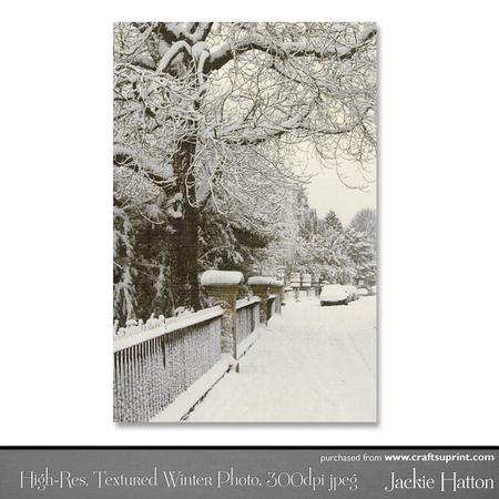 High-res, Textured Photo of Winter Scene
