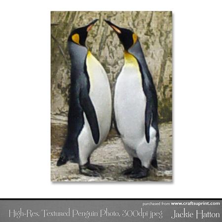 High-res, Textured Photo of Penguins