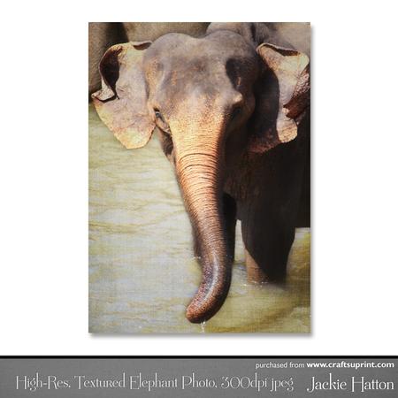 High-res, Textured Photo of a Baby Elephant