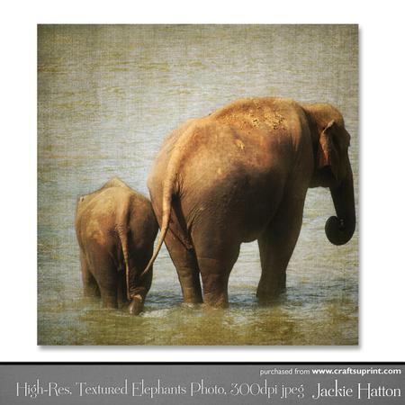 High-res, Textured Photo of Mother & Baby Elephant