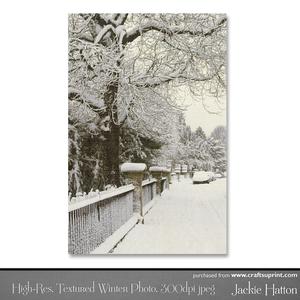 High-res, Textured Photo of Winter Scene