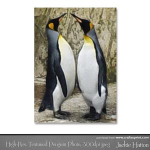 High-res, Textured Photo of Penguins
