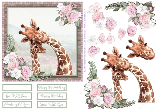 GIRAFFES 6X6