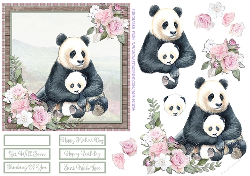PANDA  6X6