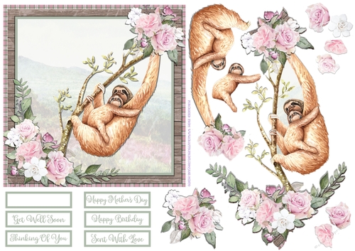 SLOW SLOTHS  6X6