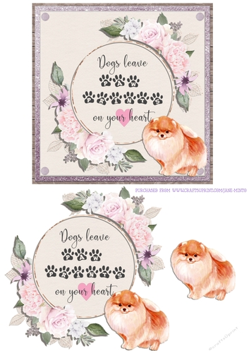 POMERANIAN 6X6