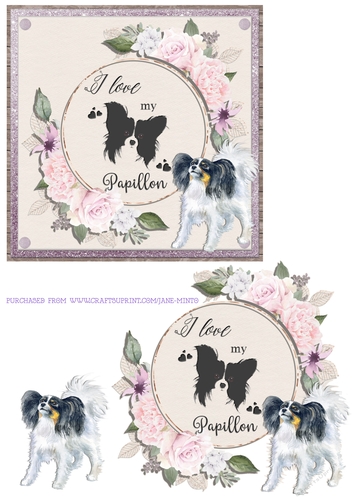 I LOVE MY PAPILLON 6X6
