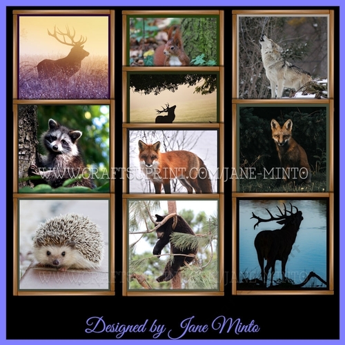 WOODEN FRAME ANIMAL TOPPERS