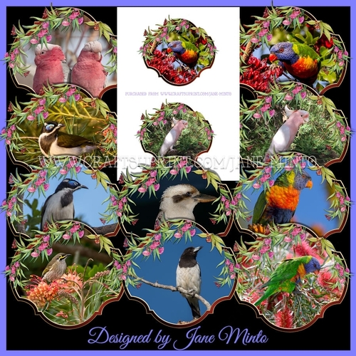 AUSTRALIAN BIRDS SET 1