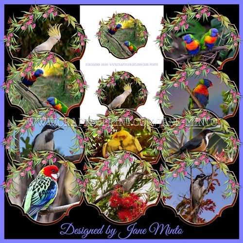 AUSTRALIAN BIRDS SET 2