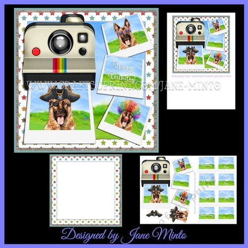 SNAP HAPPY GERMAN SHEPHERD