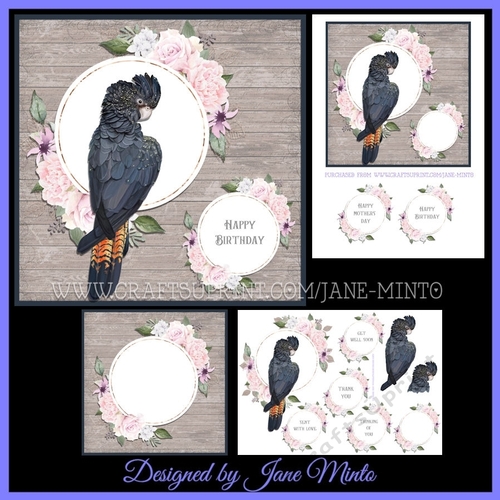 RED TAILED BLACK COCKATOO