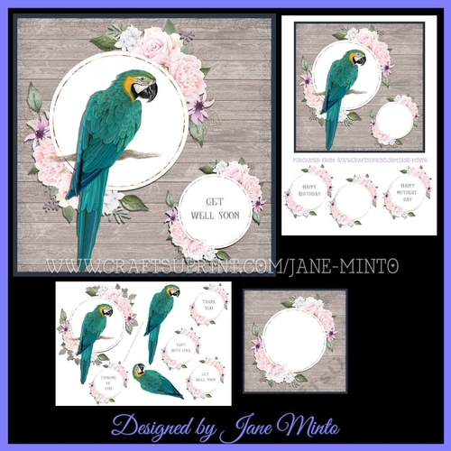 BEAUTIFUL BIRDS - MACAW