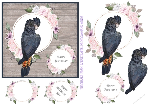BLACK COCKATOO 6X6