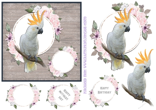 COCKATOO 6X6