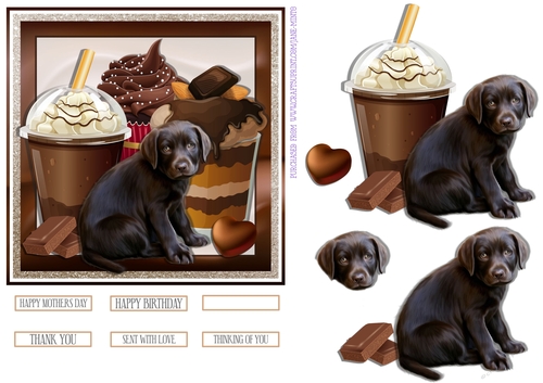 CHOCOHOLIC 6X6