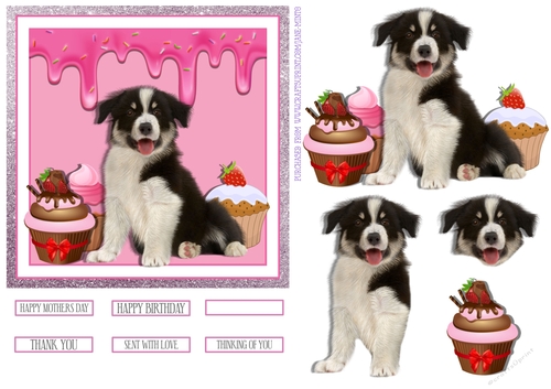 HEY CUPCAKE 6X6