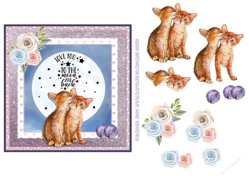 KITTEN KISSES 6x6