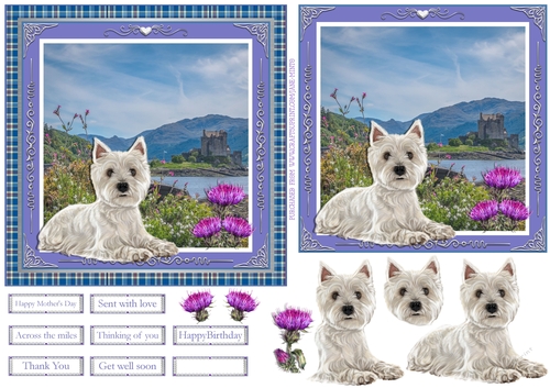 WESTIE WISHES 6x6