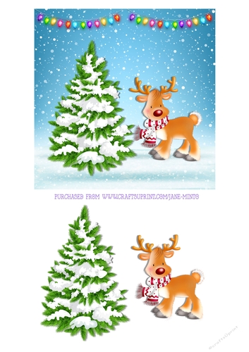 RUDOLPH 6X6
