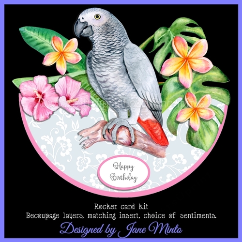 AFRICAN GREY ROCKER CARD