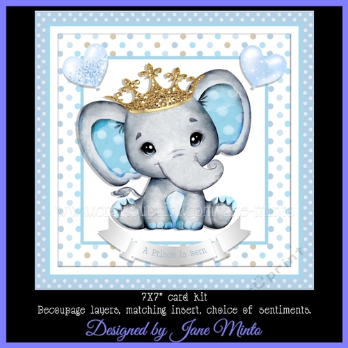 LITTLE PRINCE MINI KIT