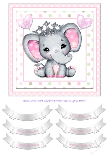 LITTLE PRINCESS QUICK CARD