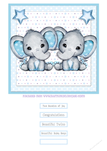 TWIN BOYS quick card