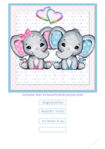 TWIN BOY GIRL quick card