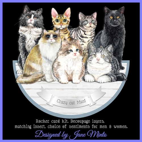 CRAZY ABOUT CATS! rocker card